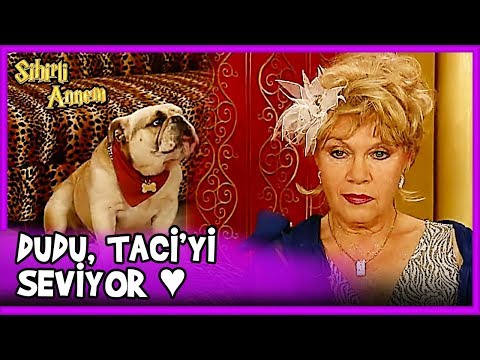 Dudu, Taci'yi Sevdiğini İtiraf Etti - Sihirli Annem 19. Bölüm