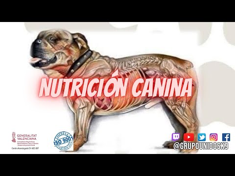 Nutrición canina #nutricioncanina #pienso #perro #comidaperro #saludcanina #alzira #valencia