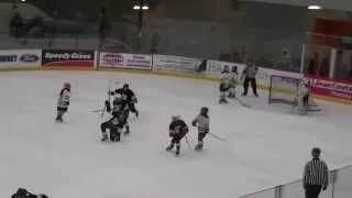 preview picture of video 'Southern New Brunswick Atom Championship Game 2015!'