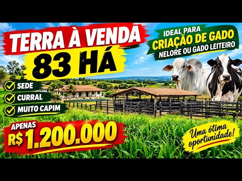 83 Hectares Próximo da Cidade! Oportunidade de Terra Boa e Barata em Vargem Grande-MA