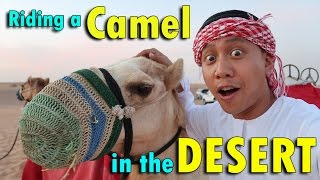 RIDING A CAMEL IN THE DESERT | April 27th, 2017 | Vlog #96