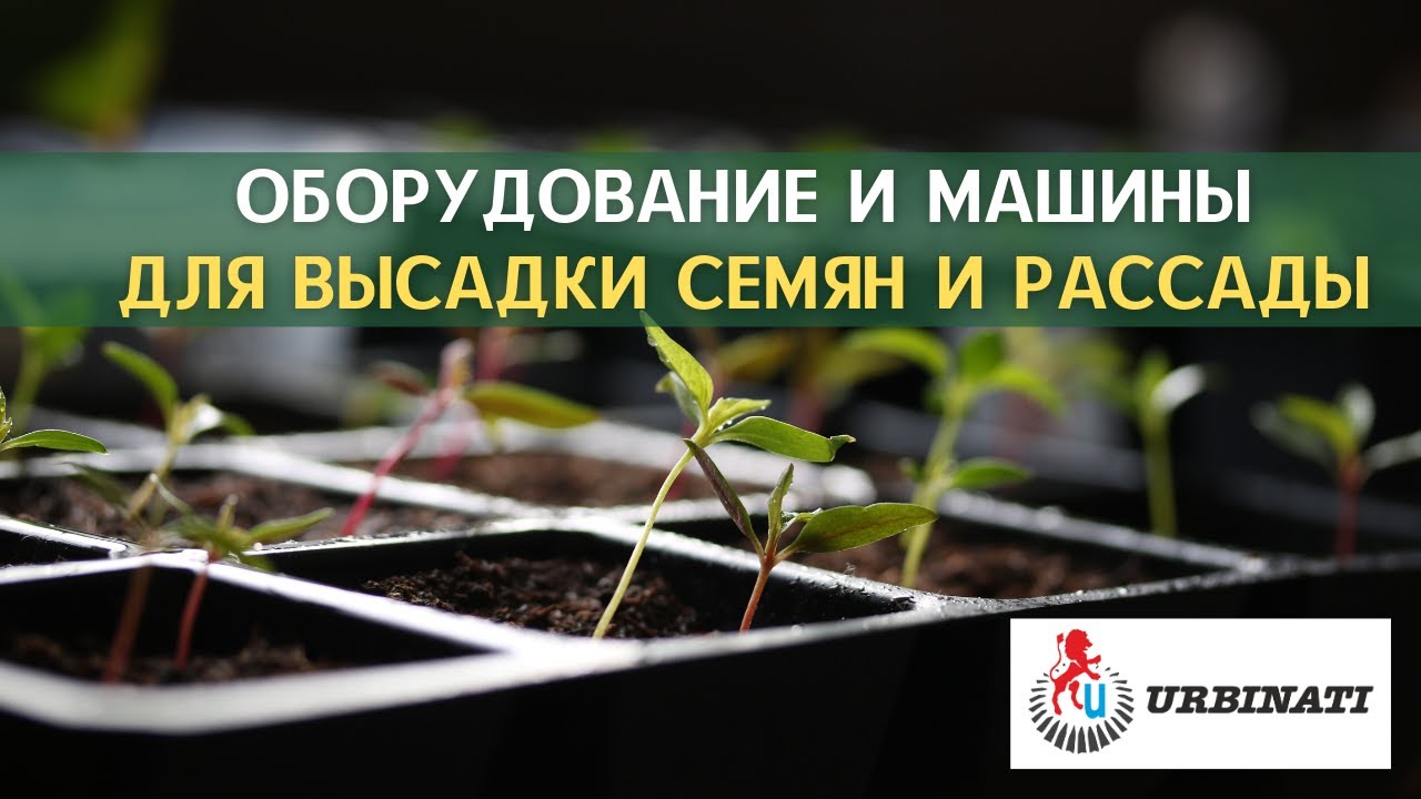 Высадка семян и рассады. Как с этим справляется оборудованиеются машины и оборудование от Urbinati