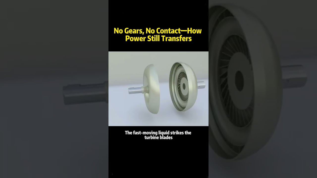 #knowledge #science #usa #fyp