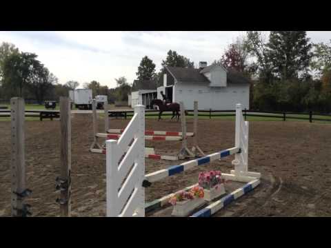 Golden Years Hunter For Sale - Flat