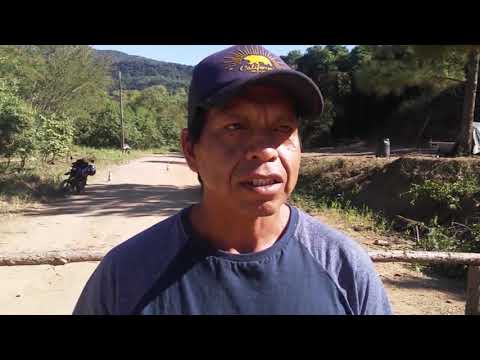 PLANTÃO TJ UFSC 20/04/20 - DIA DO ÍNDIO DURANTE A QUARENTENA