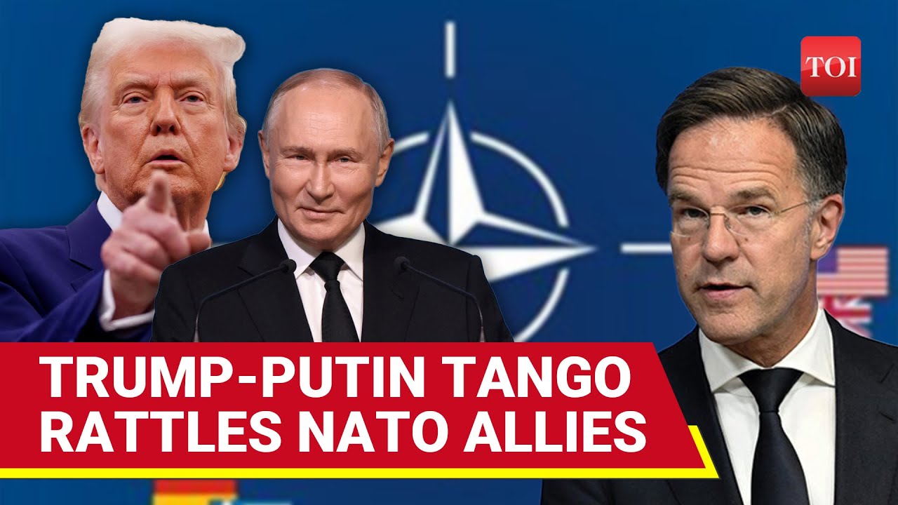 Trump’s Putin Gamble Sparks NATO Panic; Western Allies Warn Of 'Global Consequences' | Ukraine