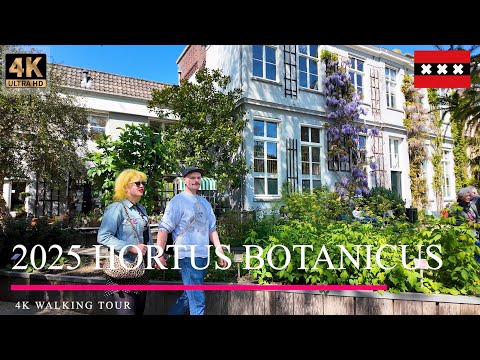 2025 Hortus Botanicus Amsterdam 4K Walking Tour | One of the Oldest Botanical Gardens in the World