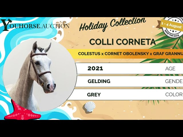 Colli Corneta