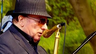 Van Morrison Live on Cyprus Avenue