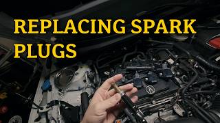 How to Replace your Spark Plugs | 2023 Acura Integra A-Spec #integrade4