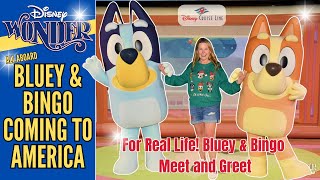 Bluey and Bingo on the Disney Wonder | Coming soon to US Disney Cruise Line Sailings