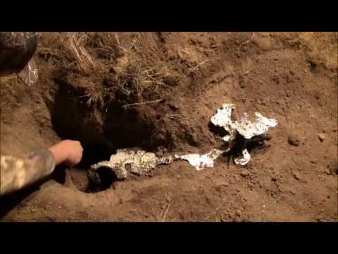 My Second Anthill Casting