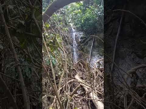 HERMOSA QUEBRADA EN LECHO DE ROCA VIVA   -    ORTEGA TOLIMA