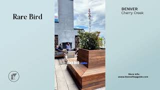 Rare Bird in Denver - Review