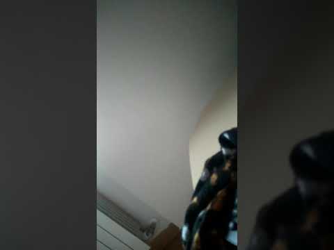 Tap 2 Earn Member @Makkia Review | Best Way To Make Money Online