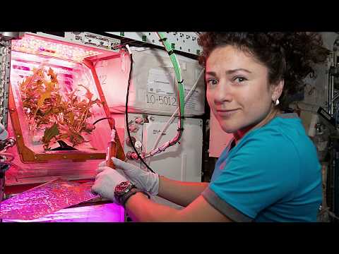 Expedition 62 Inflight Interview with the State of Maine - April 13, 2020