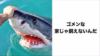 【神回】殿堂入りボケてがツッコミどころ満載すぎたwwwww【新作&傑作集】