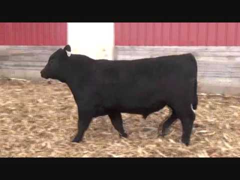 Lot 22  HCC Proceed 1476