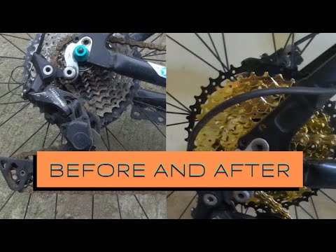 Gold VG Sports 10 Speed Cassette Cogs and Chain also Saturn Calypso hub freehub Before and After