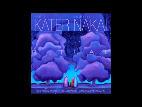 Peter Kater & R. Carlos Nakai - Invoking the Elements