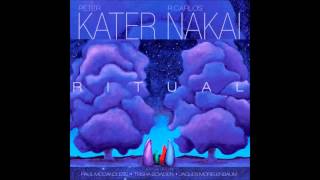 Peter Kater & R. Carlos Nakai - Invoking the Elements