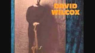 David Wilcox - Brain Fever.wmv