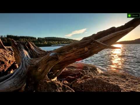 Kim Kiona ft. RAM - End Of Times (Flynn & Denton Remix) _Remastered