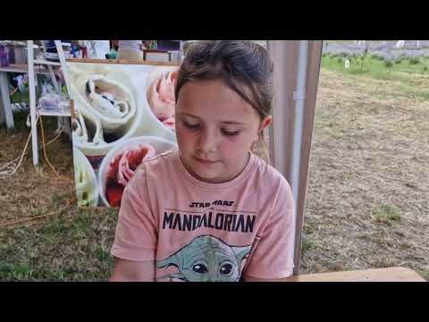 Instantanee Festivalul Lavandei Somcuta Mare