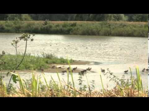 La réserve de Grand Laviers, le paradis des oiseaux