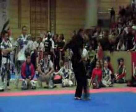 AUSTRIAN CLASSIC 2007 - musical form