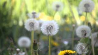 4 nanabelle ~ we are circling