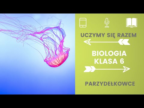 Biologia klasa 6. Parzydełkowce. Uczymy się razem