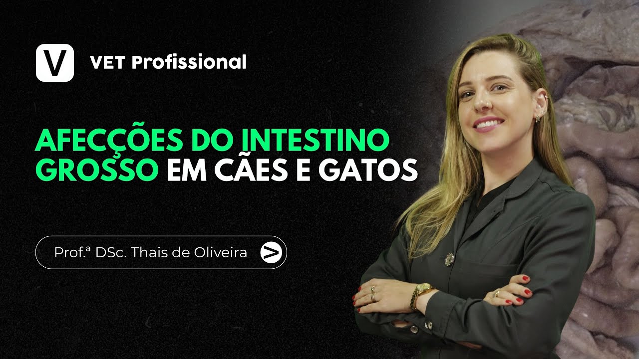 Gastroenterologia Veterinária: Afecções do Intestino Grosso em Cães e Gatos | VET Profissional
