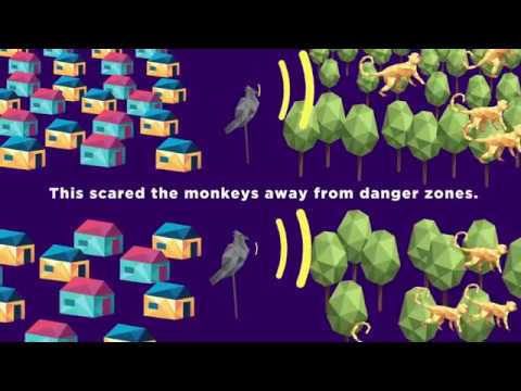 ⁣Predator vs. Predator