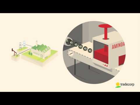 Delfan Plus parla la lingua delle piante