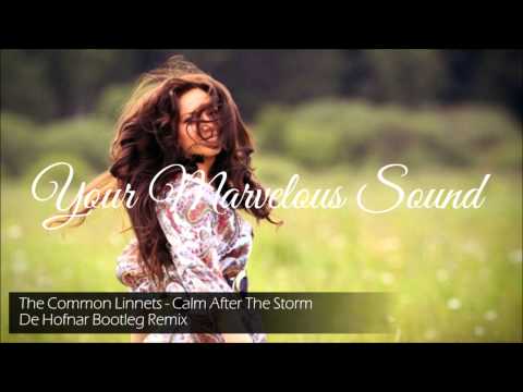The Common Linnets - Calm After The Storm (De Hofnar Bootleg Remix)