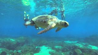 preview picture of video 'Snorkeling with Turtle in Kas / Turkey by captain ergun'