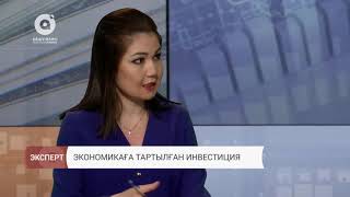 Экономикаға тартылған инвестиция