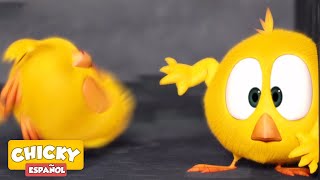 ¿Dónde está Chicky? 2020 | EL LABERINTO | Dibujos Animados Para Niños