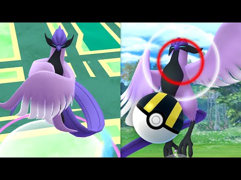 OMG Galar-Arktos in Pokémon GO