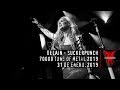 Delain Suckerpunch 70000 Tons Of Metal 2019