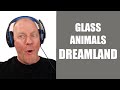 Glass Animals Dreamland LYRICS EXPLAINED