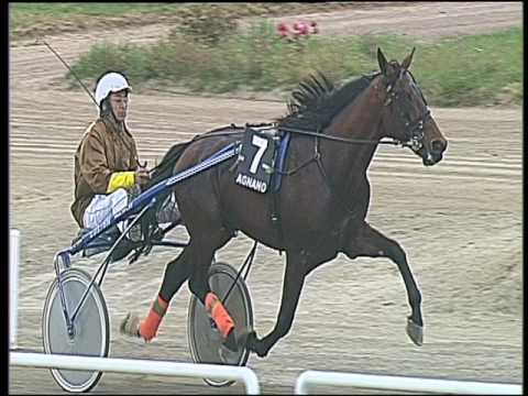 Trotto 19/03/2017 - 3ª corsa