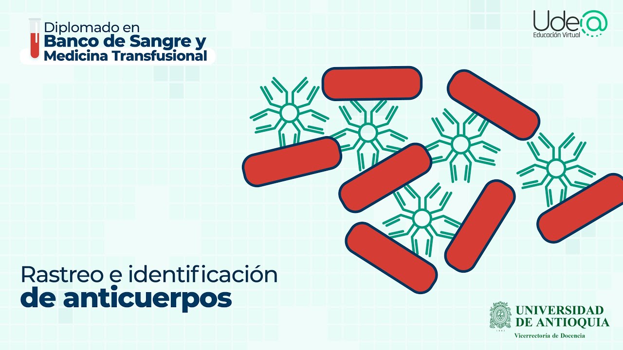 Rastreo e identificación de anticuerpos