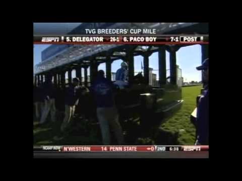 2010 BREEDERS' CUP MILE $2,000,000 WITH GOLDIKOVA AND THE USUAL Q. T. Video