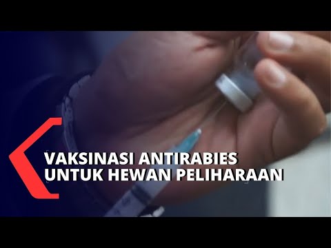 , title : 'Vaksinasi Antirabies Massal Untuk Hewan Peliharaan Warga'