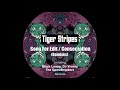 Kerri Chandler, Tiger Stripes - Song For Edit (Black Loops Remix)