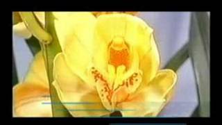 Download lagu Andriamanitra fitiavana mp3 Download lagu Andriamanitra fitiavana mp3