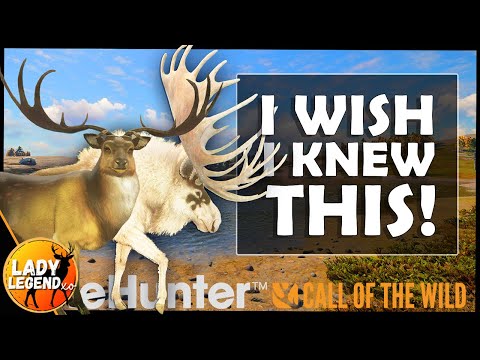 From Newb to Pro Grinder — 10 Tips I Wish I Knew!