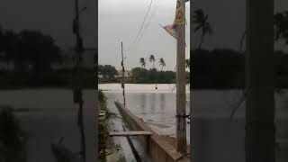 preview picture of video 'Johlapuram kurnool floods in 2018'